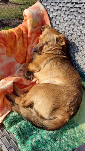 MÄXCHEN * sieht mit dem Herzen