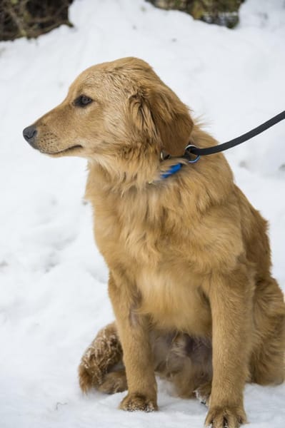 Frici  wer verliebt sich in ihn?