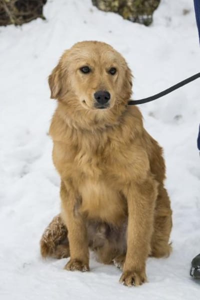 Frici  wer verliebt sich in ihn?