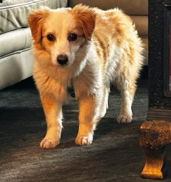 Frederic, geb. 08/2025, 79576 Weil a. R.