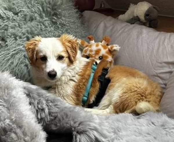 Frederic, geb. 08/2025, 79576 Weil a. R.