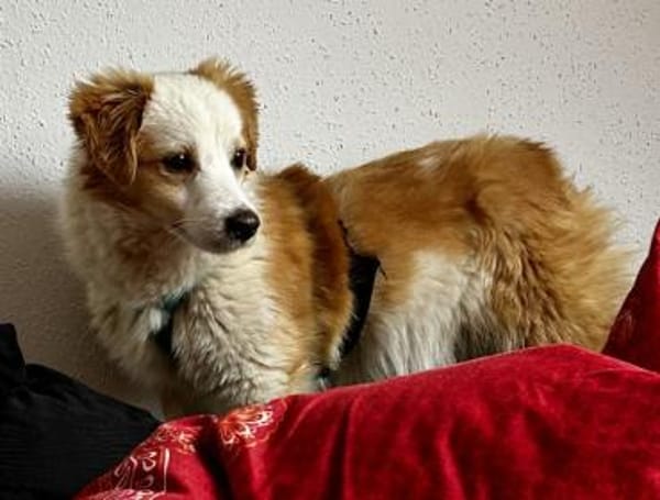 Frederic, geb. 08/2025, 79576 Weil a. R.