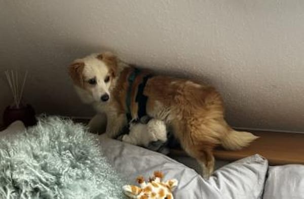 Frederic, geb. 08/2025, 79576 Weil a. R.