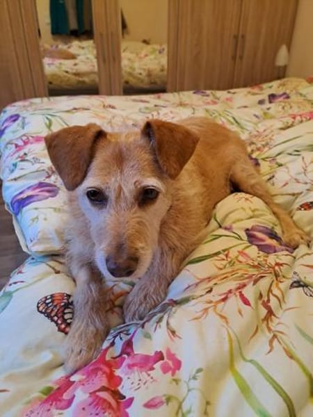 BECKY ❤ freut sich über Besuch in NRW