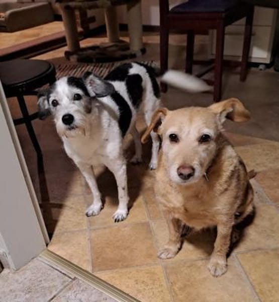 BECKY ❤ freut sich über Besuch in NRW