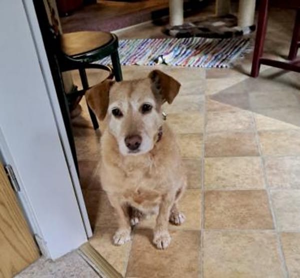 BECKY ❤ freut sich über Besuch in NRW