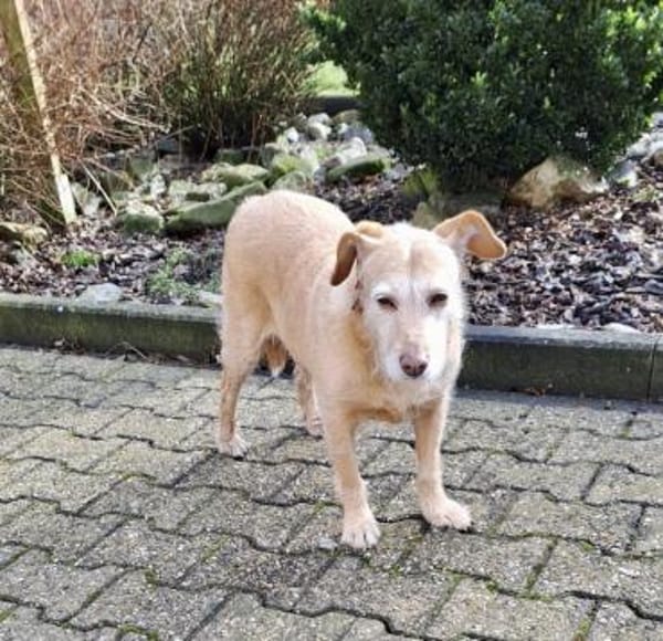 BECKY ❤ freut sich über Besuch in NRW