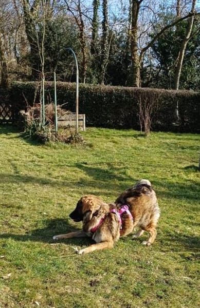 Inara sucht ihre Familie 🌸💖