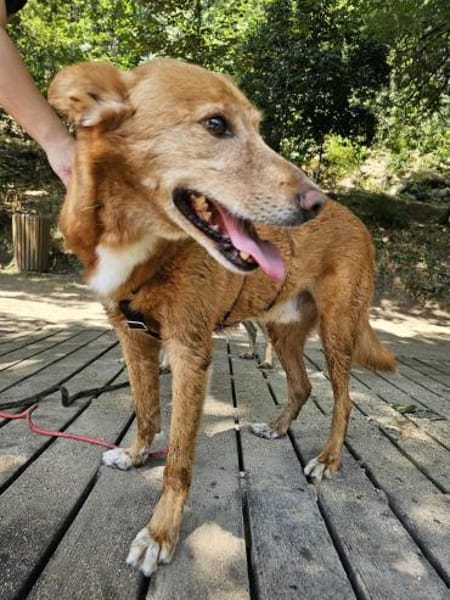 Menschenbezogener Lapa