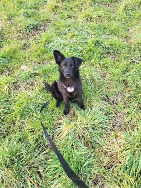 💙Sasu💙 sucht ein schönes Zuhause