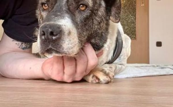 Gutmütiger Goethe sucht seine Menschen