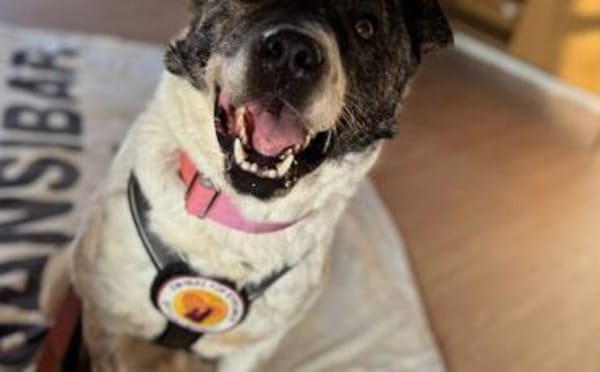 Gutmütiger Goethe sucht seine Menschen