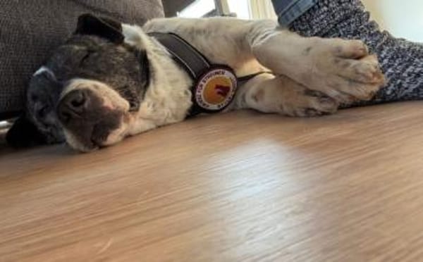 Gutmütiger Goethe sucht seine Menschen