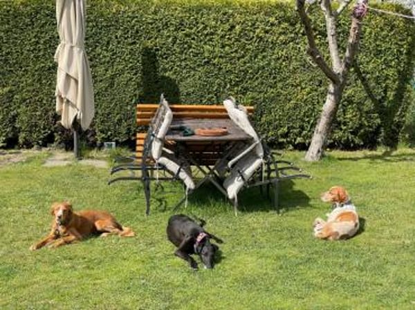 Ambar- hübsch &lieb sucht liebe Menschen