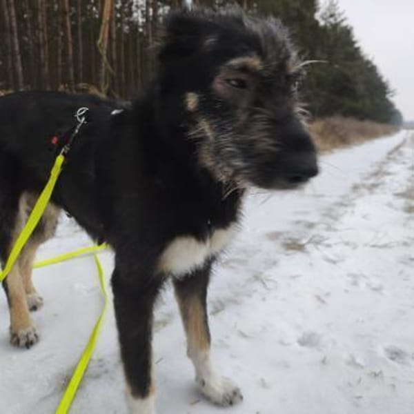 Cheesy ❤ sehr sozial und verschmust