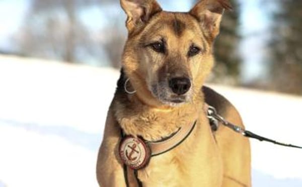 Susa sucht ihre Menschen