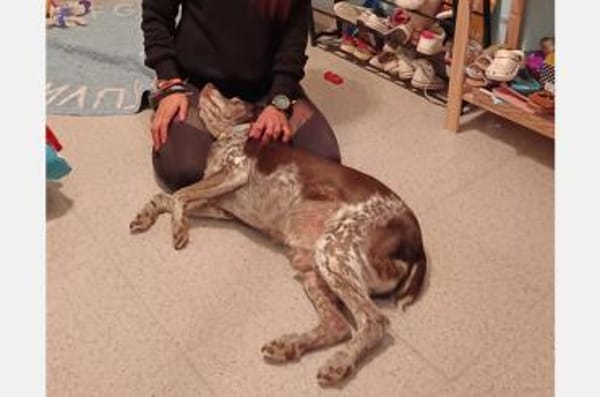 Cori - Kuschelmaus sucht liebe Familie