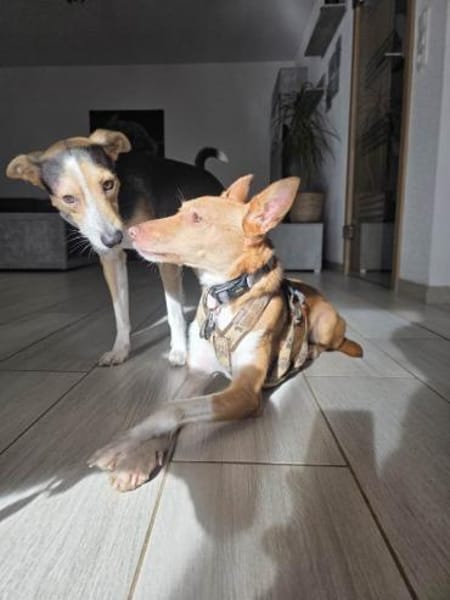 Mila möchte endlich die Welt entdecken