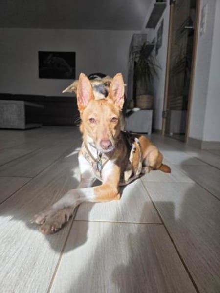 Mila möchte endlich die Welt entdecken