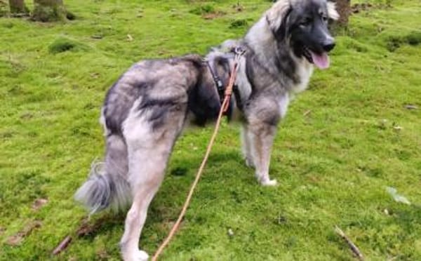 Balthasar - wer sonst?!