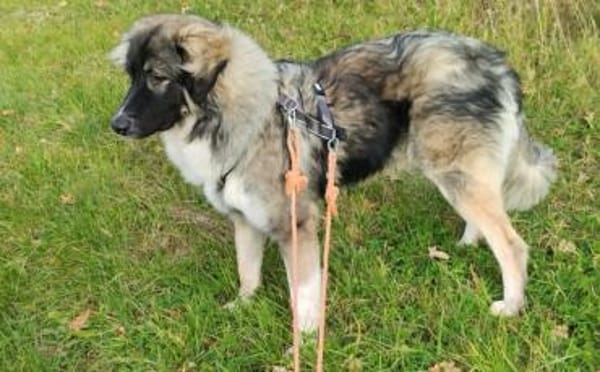 Balthasar - wer sonst?!