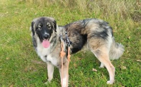 Balthasar - wer sonst?!