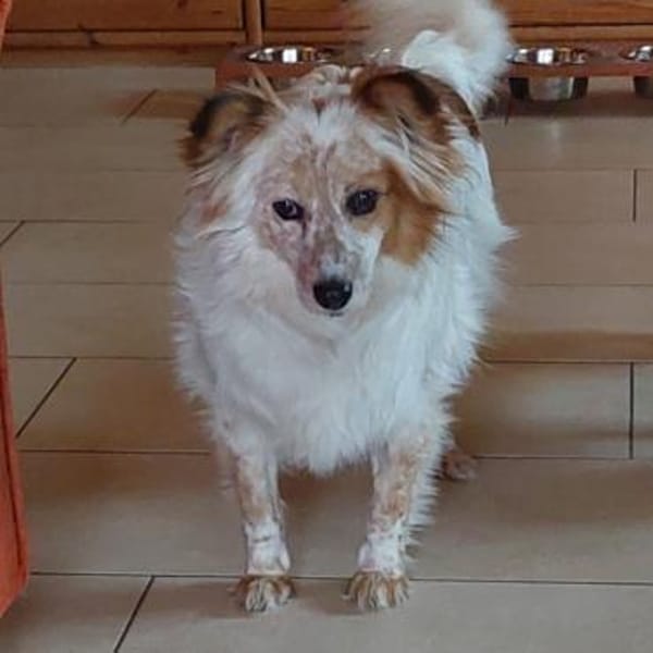 Frieda❤sanfte Seniorin mit treuer Seele