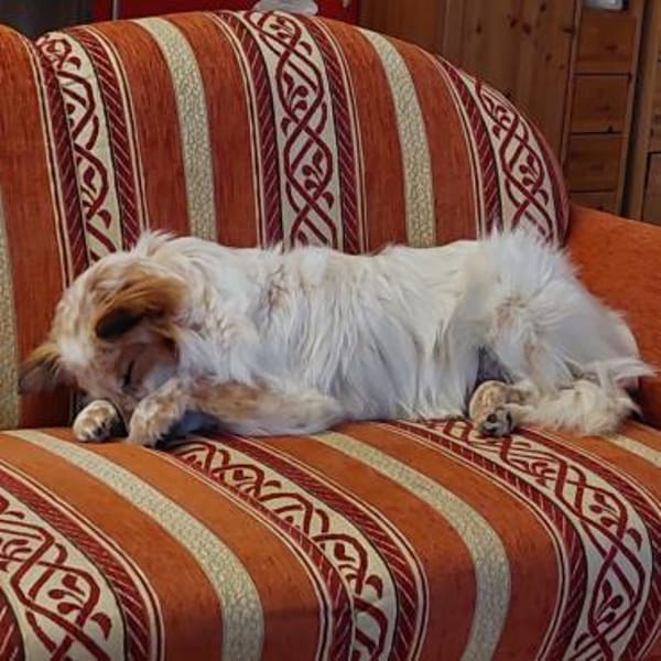 Frieda❤sanfte Seniorin mit treuer Seele