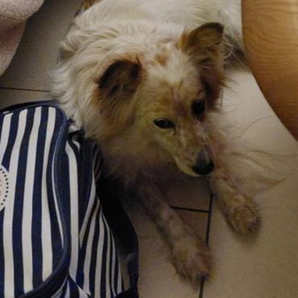 Frieda❤sanfte Seniorin mit treuer Seele