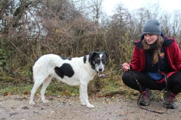 Wo sind Susus Menschen?