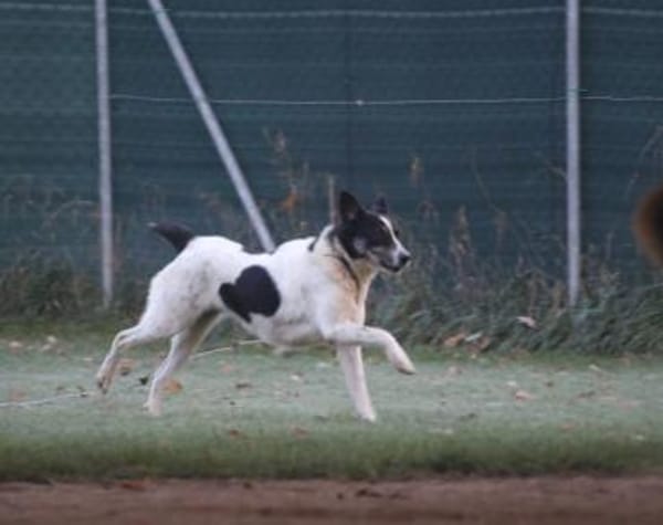 Wo sind Susus Menschen?