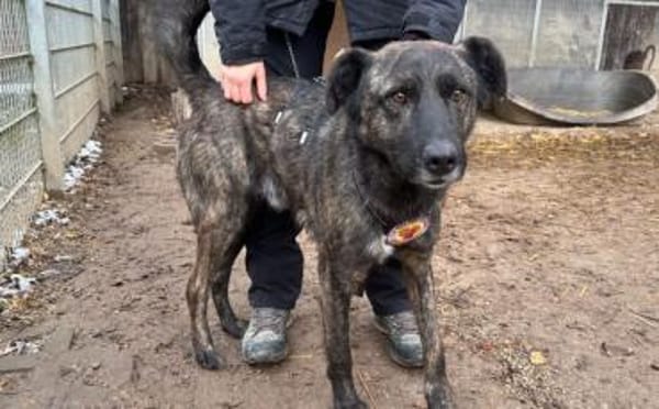 Schenkst du Bärt ein neues Leben?