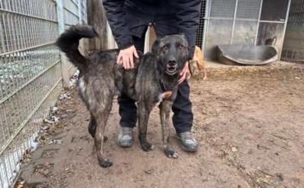 Schenkst du Bärt ein neues Leben?