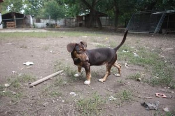 Jasmin sucht eine liebevolle Familie