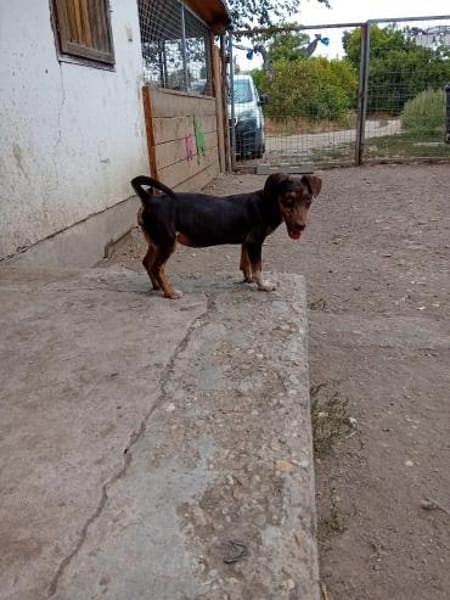 Jasmin sucht eine liebevolle Familie