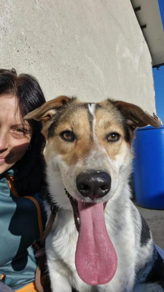 Fidji - unkompliziert sucht Dich