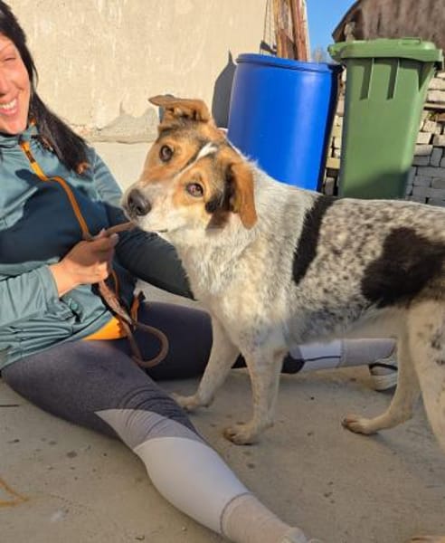 Fidji - unkompliziert sucht Dich