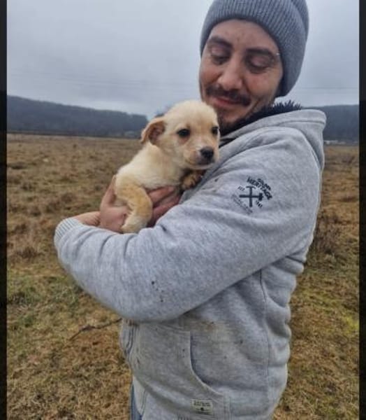 Erik sucht eine Pflegestelle