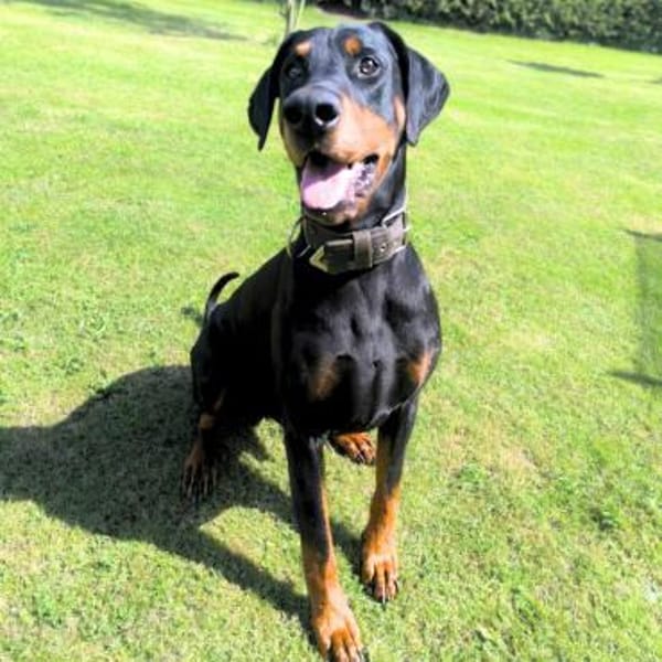 Metti - ist am liebsten immer dabei