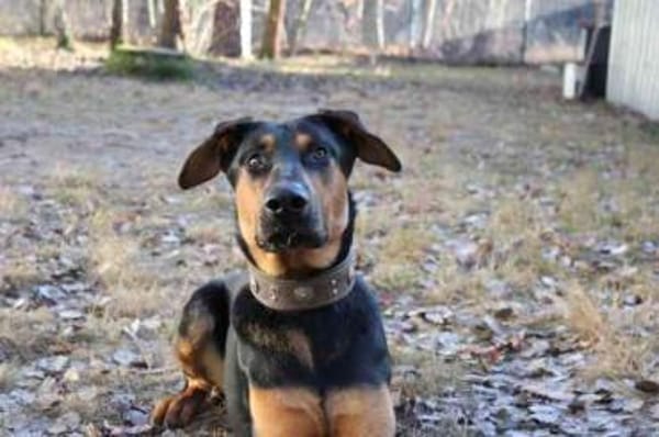 Aron, su. sportl. Besitzer