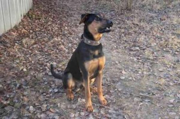 Aron, su. sportl. Besitzer