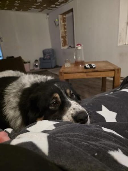 Lina 5 Jahre 38527 Meine