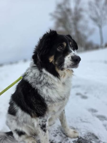 Lina 5 Jahre 38527 Meine