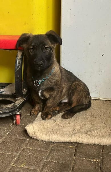 Also sucht seine Familie