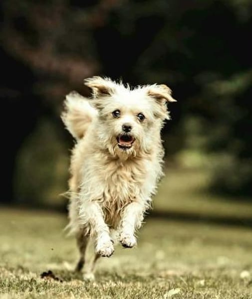 Anni - fröhlich&liebevoll