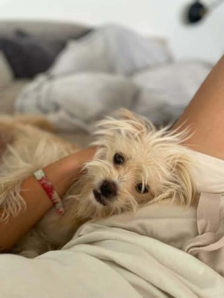 Anni - fröhlich&liebevoll