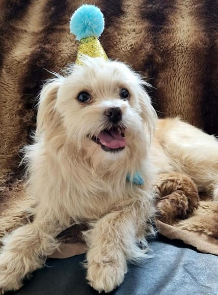 Anni - fröhlich&liebevoll