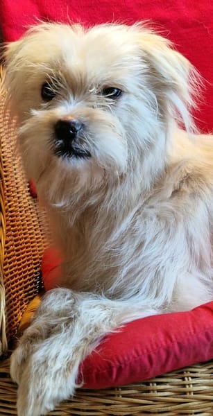 Anni - fröhlich&liebevoll