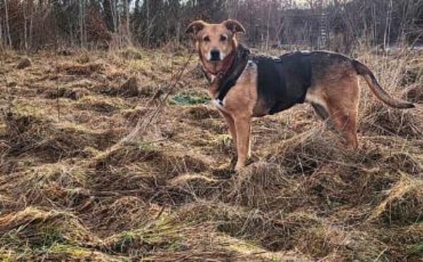 Hallo ich bin Cecile! Adopt. Don´t shop!