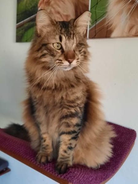 CEVIZ auf dem Weg ins Glück 🍀